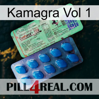 Kamagra Vol 1 new02